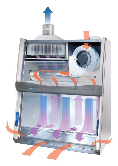 Understanding the Differences in Design and Application: Biosafety Cabinet Class II A2 vs B2 Airflow Pattern Understanding the Differences in Design and Application: Biosafety Cabinet Class II A2 vs B2 Airflow Pattern